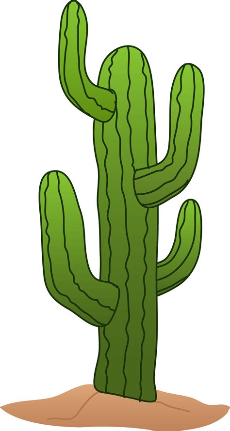 Cactus cartoon image